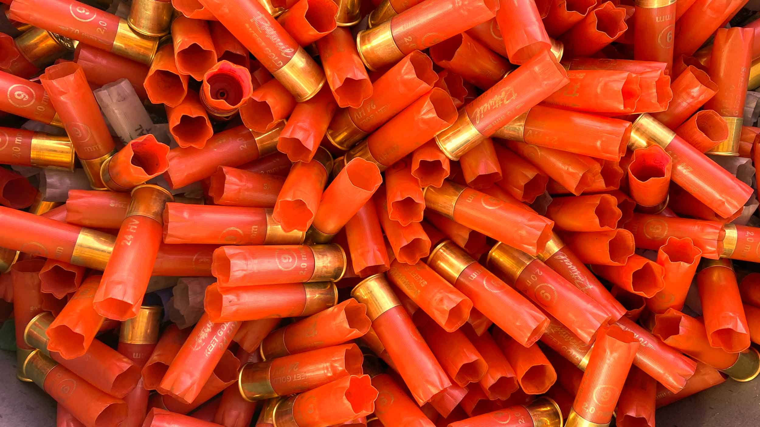 viele leere Schrotpatronen in orange
