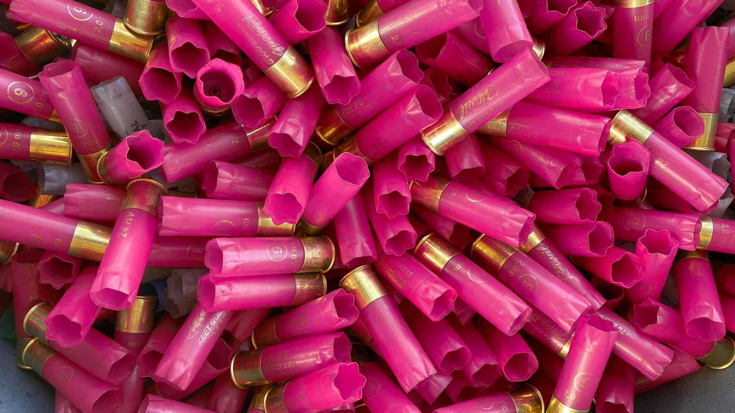 viele leere Schrotpatronen in pink