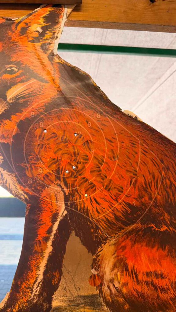 Bildausschnitt meiner Trefferlage mit 48 Ringen auf den Fuchs 